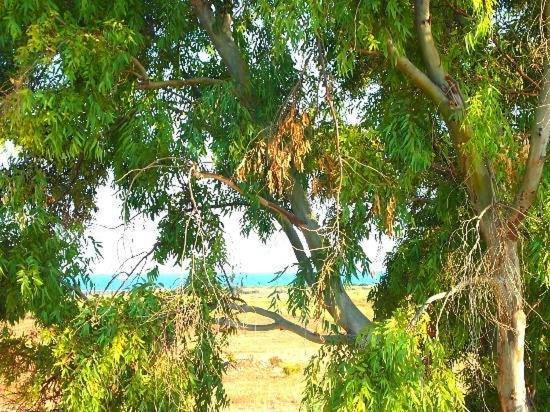 B&B Casa Cavarra Portopalo Di Capo Passero 외부 사진