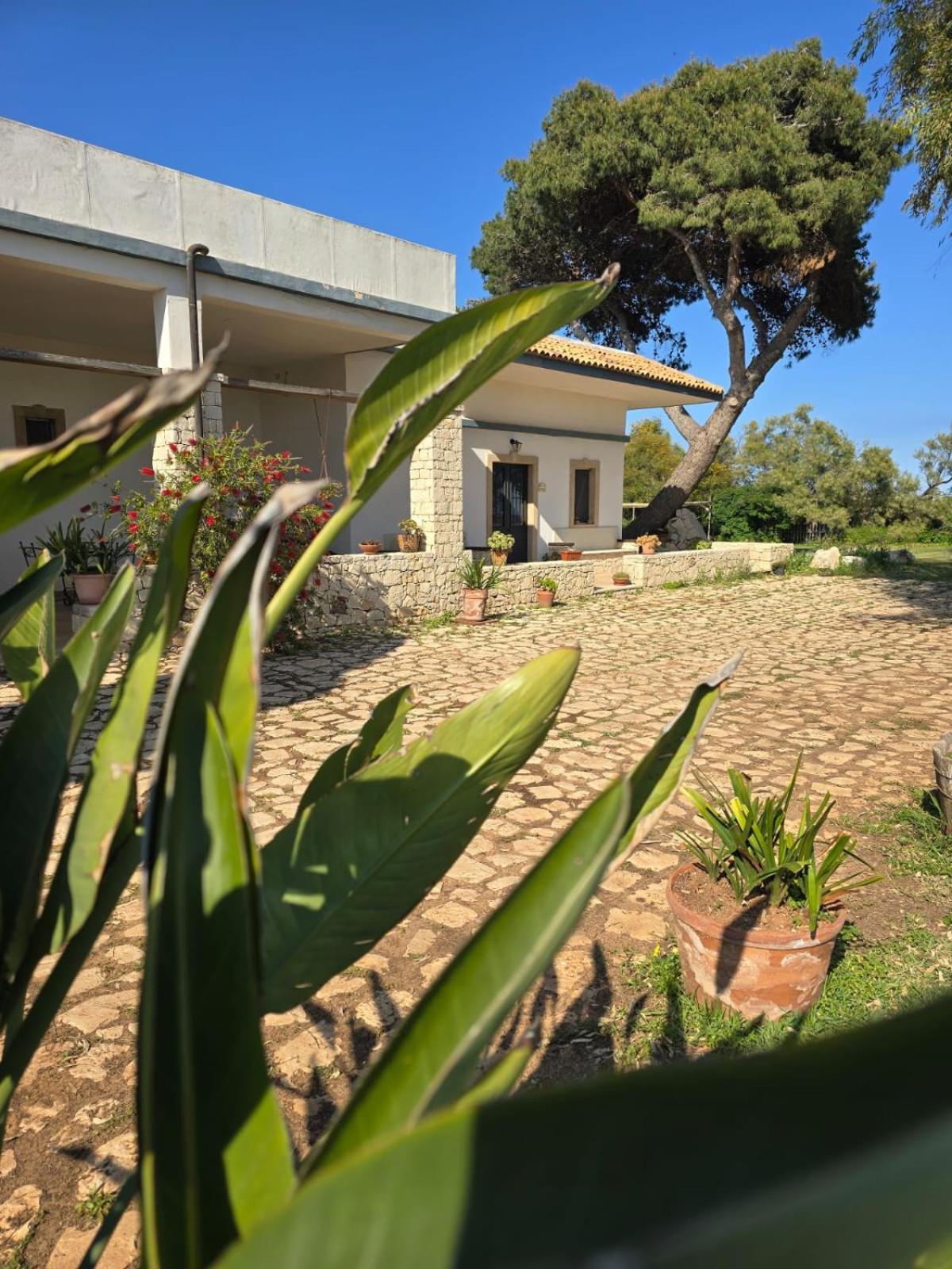 B&B Casa Cavarra Portopalo Di Capo Passero 외부 사진